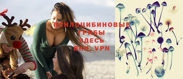 прущие крисы Богданович