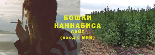 прущие крисы Богданович