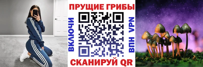 Псилоцибиновые грибы Magic Shrooms  Купить где  Новая Ладога 