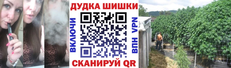 Шишки марихуана MAZAR  Купить где  Новая Ладога 